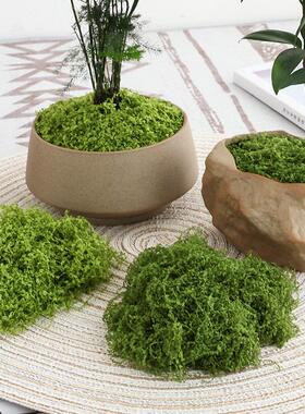丝状彷真苔藓彷生人造草坪假青苔DIY微景观装饰材料盆栽铺面造景