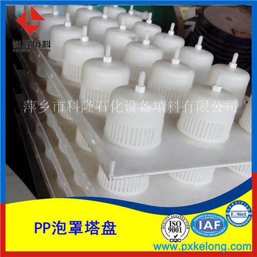 PP泡罩塔盘聚丙烯泡罩塔盘江西萍乡生产厂家