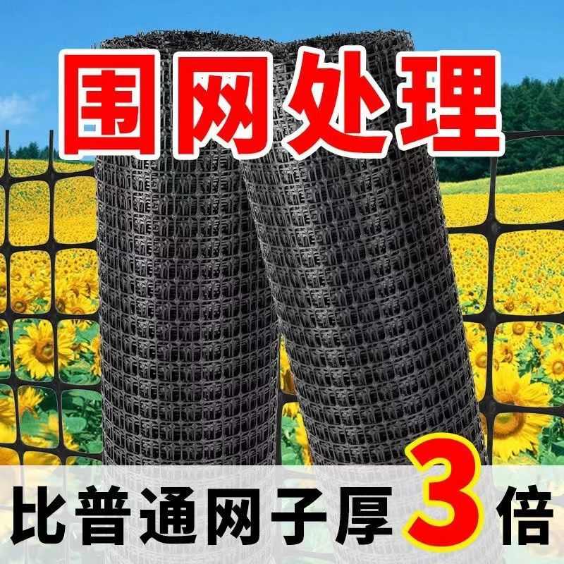 养鸡网养殖网塑料网围栏家禽安全防护网隔离栅栏漏粪护栏网格拦鸡