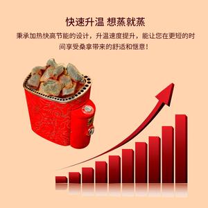 SAWO西活进口桑拿炉 进口家用家庭内外控干蒸炉 汗蒸炉 桑拿设备