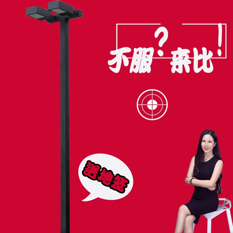 6米8m双头球场灯方管体育场篮球场羽毛广场路灯led照明高杆灯