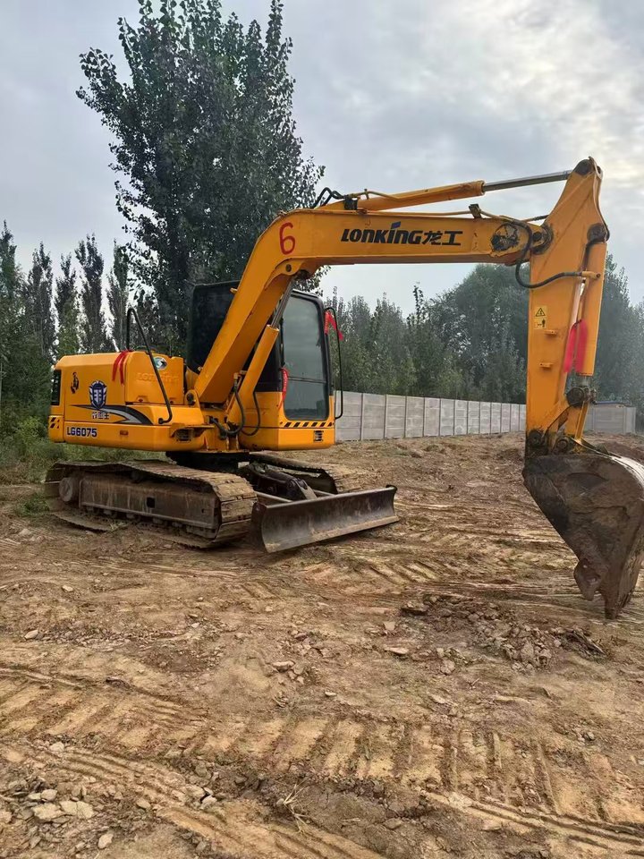 11月10日邢台龙工75挖掘机网络拍卖公告