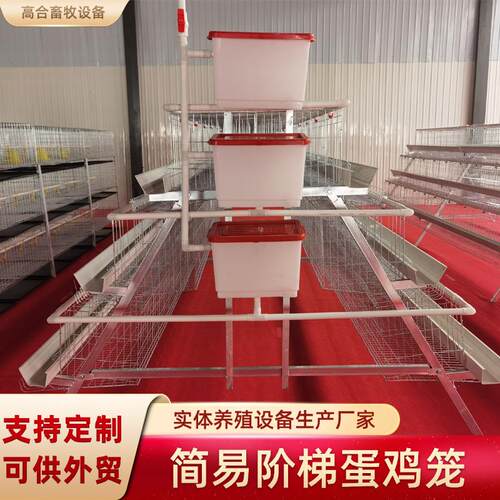 镀锌蛋鸡笼三层四层阶梯式蛋鸡笼农场养自带水箱鸡蛋鸡笼养殖设备