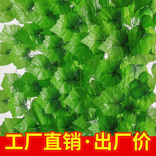 饰藤条塑料花藤蔓装 仿真葡萄叶子绿叶装 饰假花水管道吊顶缠绕绿植