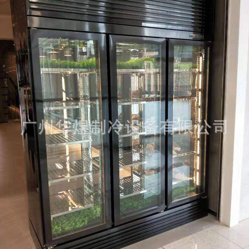冰友三门双通牛肉柜湿式排酸熟成柜西餐厅牛肉保鲜柜和牛冷藏柜