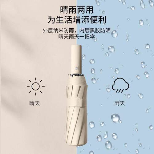Special Offer: Reinforced Large Umbrella for Men and Women,