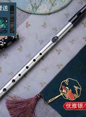 高档爱尔兰哨笛初学者入门D金音属哨笛6孔/调高金属专业直C竖笛子
