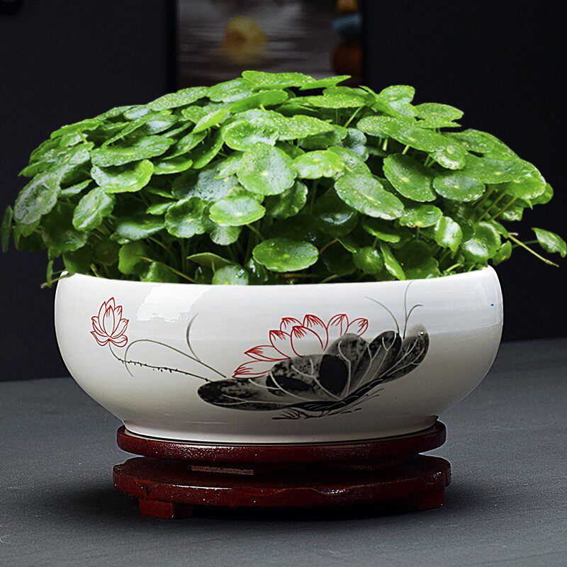 简约水仙花盆陶瓷大号家用桌面无孔铜钱草专用水培碗莲塔竹带底座
