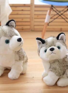 kids Soft Toy Cute Husky Puppy Dog Stuffed Animal plush doll