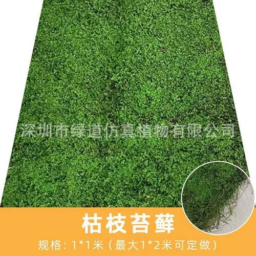【枯草枝藓苔生藓】仿真NCW苔造景皮绿植微景观植物装饰人造仿草