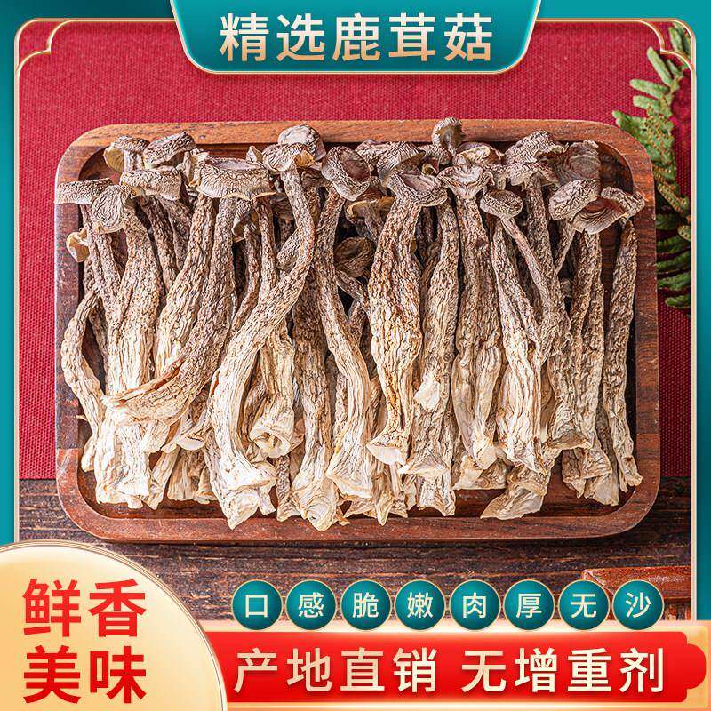 云南鹿茸菇干货鹿茸菇干货特产级500g云南营养菌菇类干蘑菇鹿