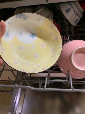 美国HUMANTOUCH慧曼洗碗机怎么样?诉说大家不要踩雷了