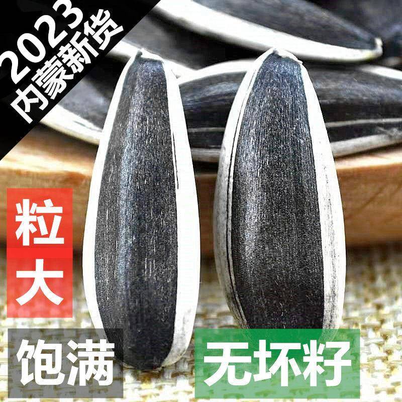 2024年新鲜生瓜子葵花籽新货原味瓜子炒熟大颗粒363向日葵散装5斤