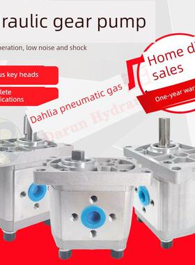 液压齿轮泵Cbn-F304 306 310 314 316 320 325液压站高压油泵Cbt
