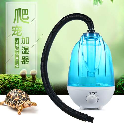 爬宠加湿器爬虫陆龟蜥蜴热带爬行动物增湿器变色龙树蛙乌龟箱宠物