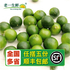 老一生鲜新鲜海南小金桔 500g 小金橘 小青柠 柠檬 小青桔