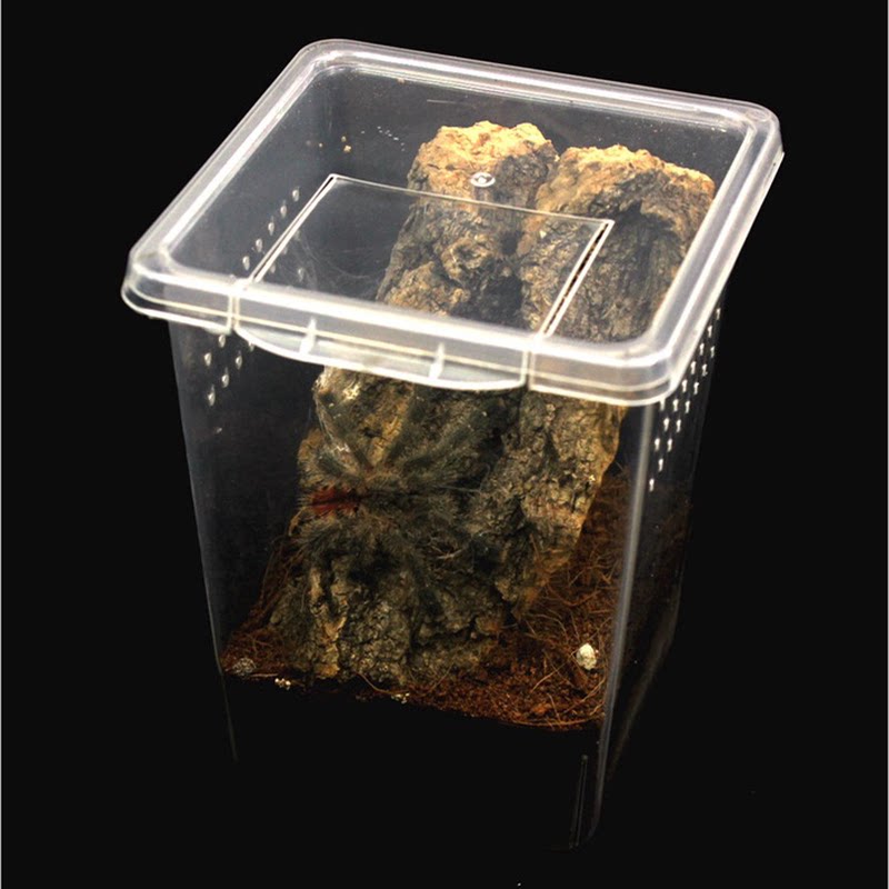 方便宠物越狱盒防翻盖蜘蛛设计 爬虫专用幼体喂食饲养