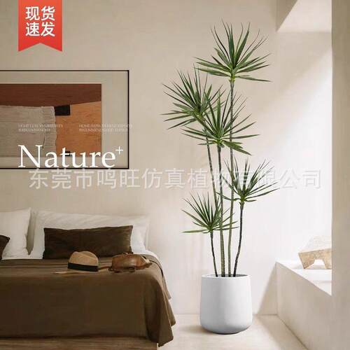 轻奢客厅仿真绿植龙血树龙舌兰假树植物盆栽室内装饰落地盆景摆件