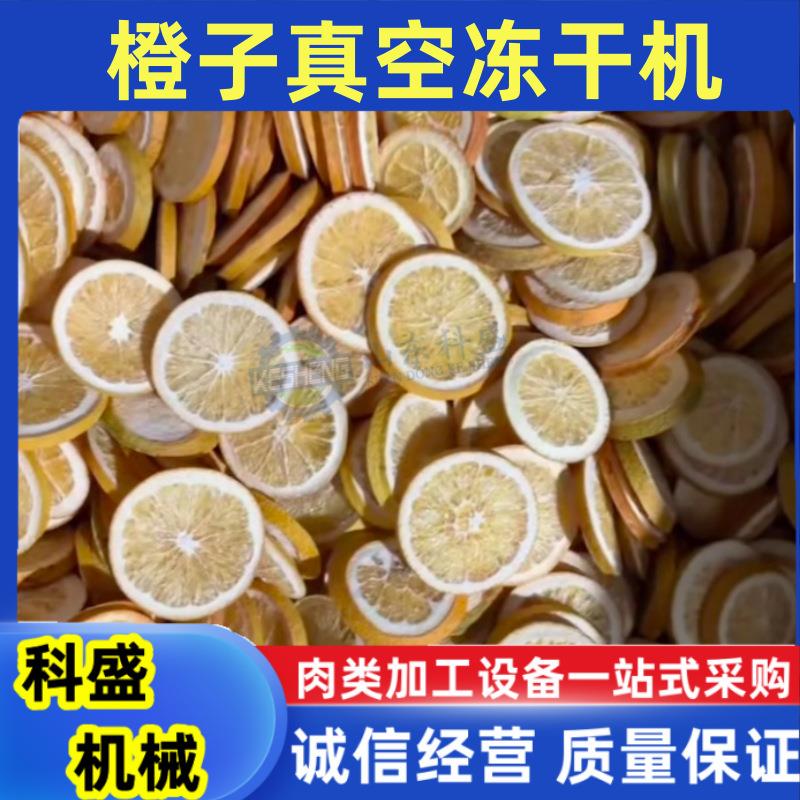 菊花茶冻干机 柠檬片玫瑰花茶冻干设备 橙子枸杞真空冷冻机