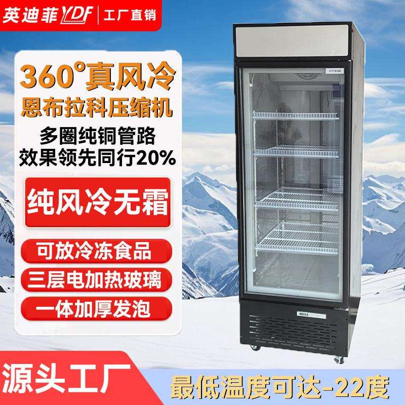 商用冷冻柜立式冷冻展示柜速冻肉类冻品单门立式冰箱低温冰柜