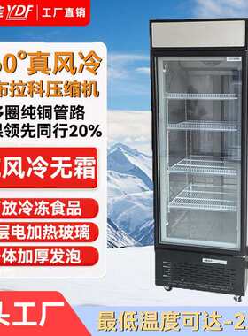 商用冷冻柜立式冷冻展示柜速冻肉类冻品单门立式冰箱低温冰柜