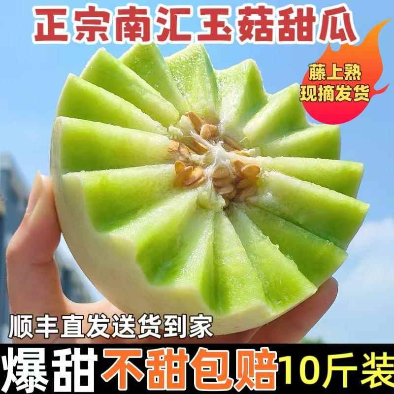 超甜软糯上海南汇玉菇甜瓜新鲜时令水果整箱玉茹香瓜10斤绿肉5斤