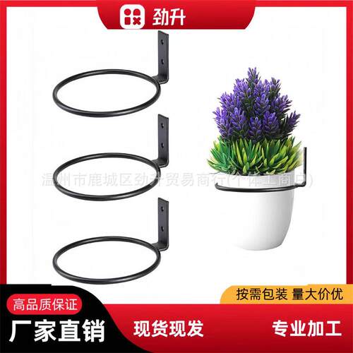 花卉植物支架环壁挂式,植物墙壁挂环,金属植物支架壁挂式花盆挂钩