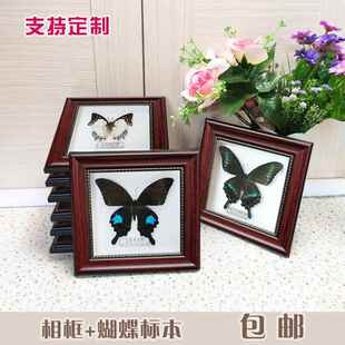 展翅真蝴蝶标本相框青凤蝶昆虫盒子装饰立体摆件挂式DIY制作包邮