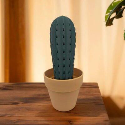 3D Printed Cactus Toothpick Dispenser Fake House Plant