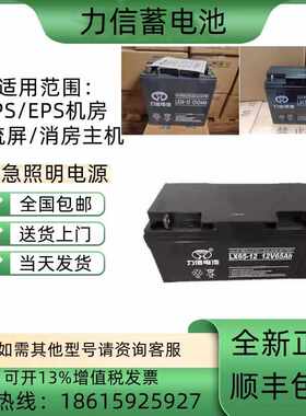 力信蓄电池LX100-12/12V17A24A38A55A65A100AH120AHUPS电源直流