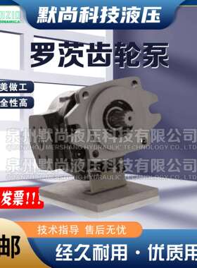 RONZIO罗茨齿轮泵040WAG75/90/110/130/150/190C032S0 液压马达