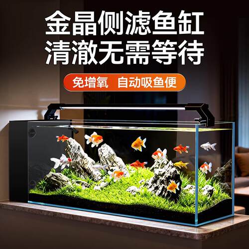 超白侧滤鱼缸客厅家用一体式小型桌面生态玻璃鱼缸过滤制氧All