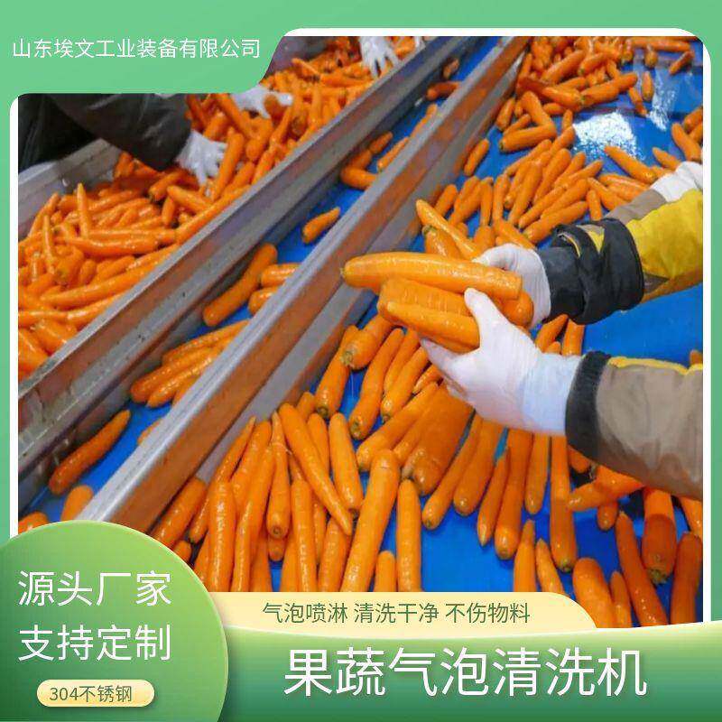 气泡清洗机果蔬菠菜生菜去泥清洗设备红著南瓜黄精清洗风干生产线