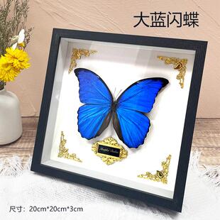 大蓝闪蝶蓝色翅膀手工材料DIY原蝶真蝴蝶标本欢乐女神干蝴蝶