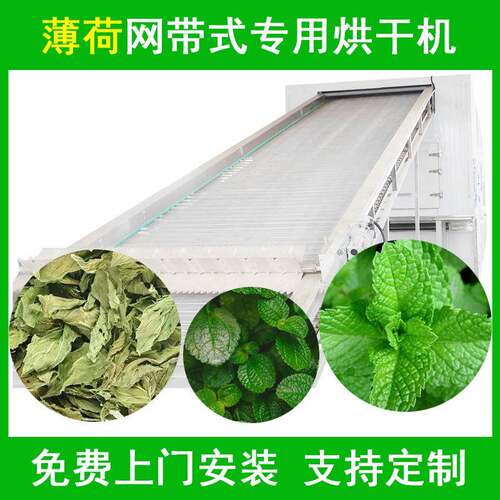 连续式薄荷叶烘干机大型薄荷叶茶新鲜食用干薄荷叶中药材风干机