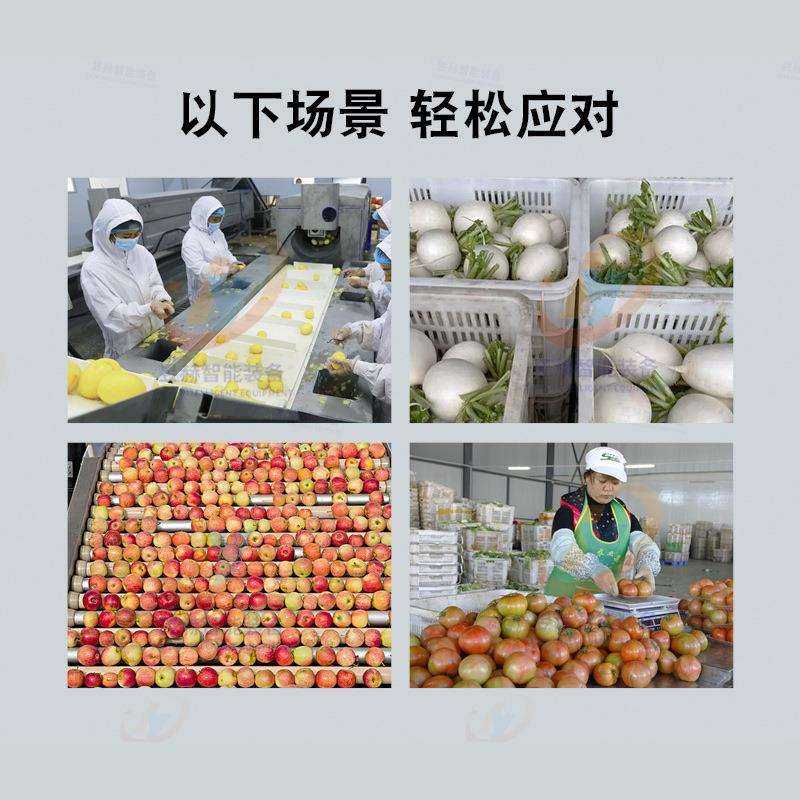 水果厂全自动果蔬分选机芒果番石榴滚杠式分级机滚杠式大小选果机