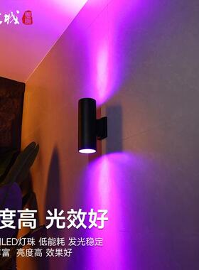 led户外壁灯双头圆形庭院别墅大门外墙灯走廊七彩上下照明洗墙灯