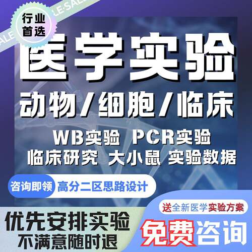 实验外包医学实验数据动物细胞浸润划痕蛋白wbpcr免疫荧光大小鼠