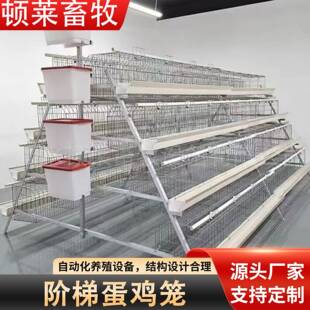 阶梯蛋鸡笼四层四门A型蛋鸡笼养鸡场热镀锌养殖笼层叠式养殖鸡笼