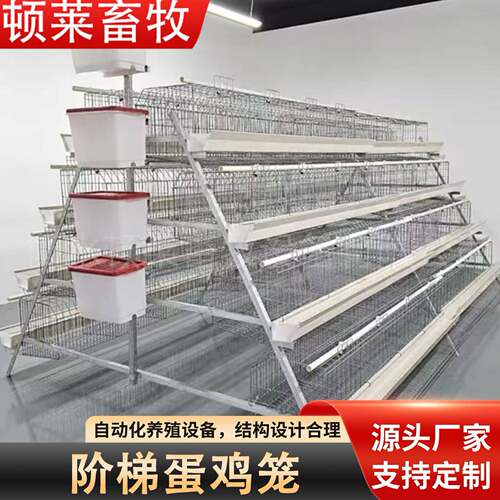 阶梯蛋鸡笼四层四门A型蛋鸡笼养鸡场热镀锌养殖笼层叠式养殖鸡笼