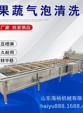 全自动果蔬气泡清洗机自动毛豆秋葵压清洗机叶类菜喷淋清洗设备