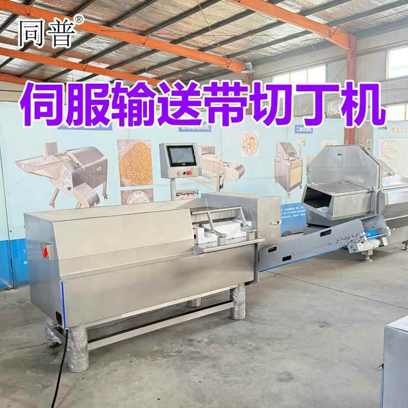 全自动伺服切丁机 数控白萝卜切丁机器 冻肉切块机 商用切肉机