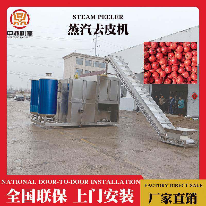 罐头物理蒸汽去皮机 山里红脱皮专业设备 红薯深加工生产线