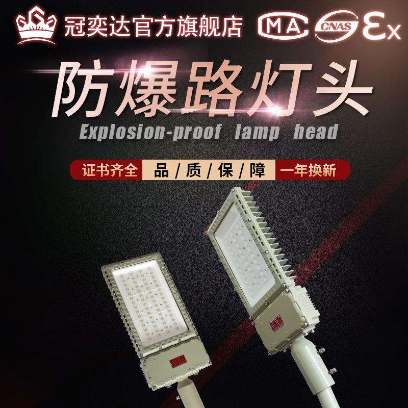 LED防爆路灯加油站加气站化工6米防爆路灯投光灯应急灯罩棚灯高杆