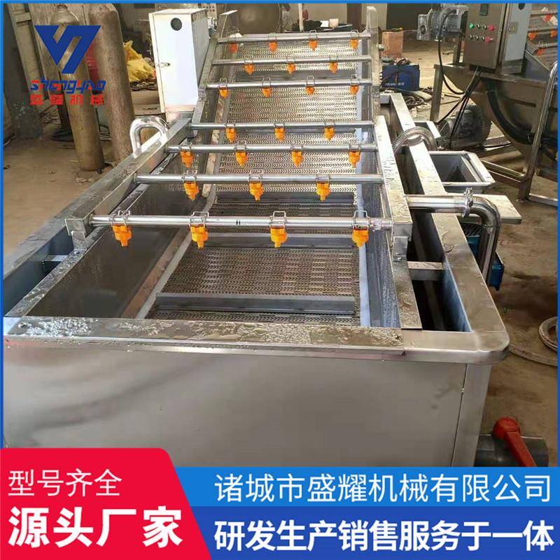 果蔬气泡清洗机 酸梅小型气泡清洗流水线 链板翻浪洗菜机
