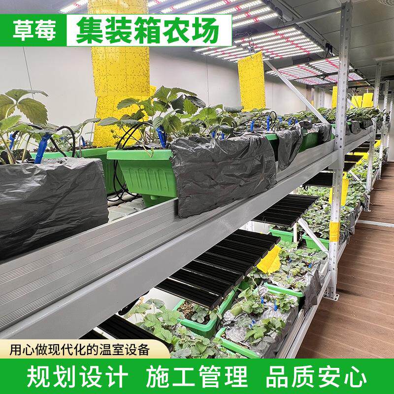 四季高产草莓集装箱LED补光自动灌溉智能恒温无土栽培种植集装箱