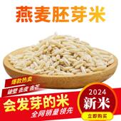 新燕麦胚芽米全胚芽燕麦米煮粥发芽米去皮内蒙古破壁去芒去苦真空