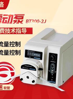 保定BT300-2J大流量可调精密基本型恒流泵耐酸碱蠕动泵