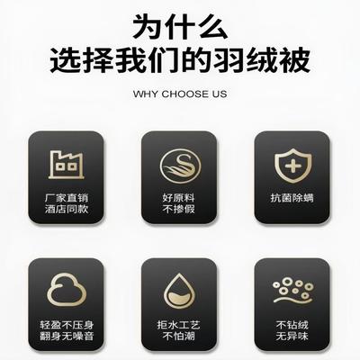 匈牙白利手挑级95鹅绒加冬被春秋被子棉120s纯棉夏凉羽绒MTO全被