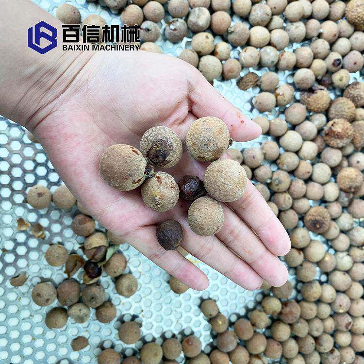 百信果干烘干机小型热泵果干干燥机核桃干果恒温烘干设备